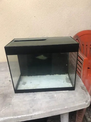 Aquário 50 litros sem trinca ,sem vazamento com tampa três meses de uso