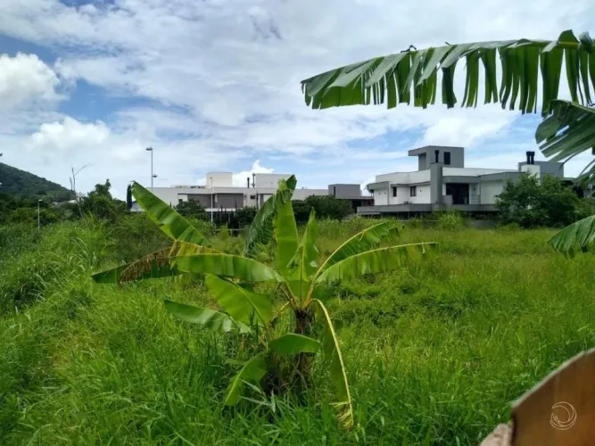 Terreno para Venda em Florianópolis, Lagoa Da Conceição