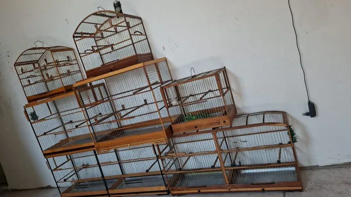 Vendo gaiolas tala fina