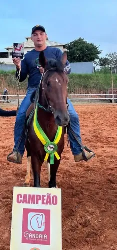 Cavalo mangalarga marchador