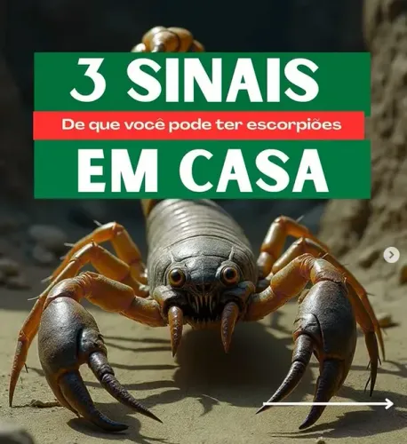 dedetização de escorpião 