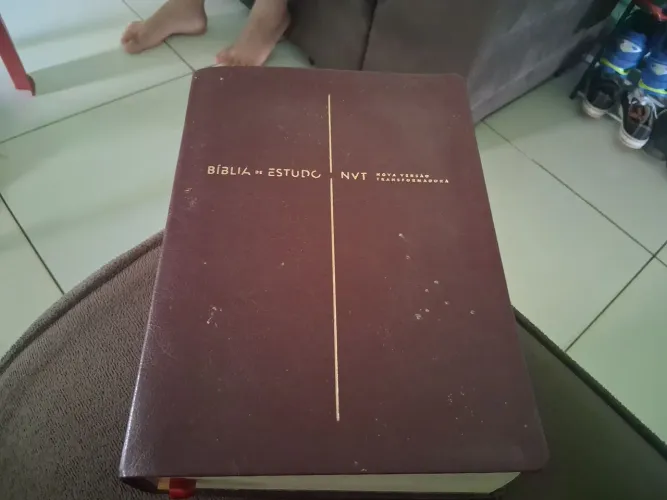 Bíblia de estudo NVT 