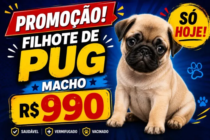 Pug MACHO 