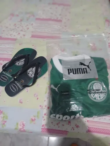Kit do Palmeiras 