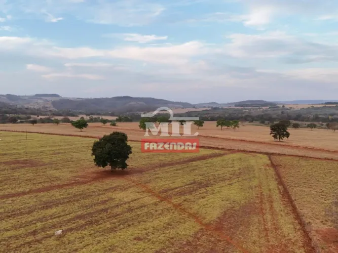 Fazenda 29,8 Alqueires (144,23 Hectares) Cezarina -GO