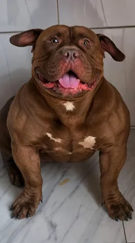 REAL PIT MONSTER
