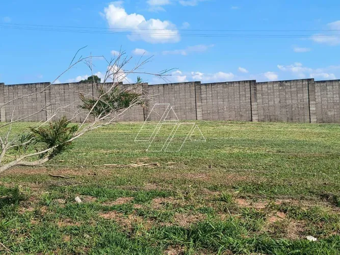 Terreno residencial à venda no Jardim Esmeralda, Marília 250 m²