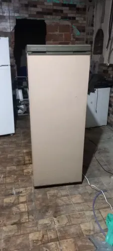 Freezer vertical