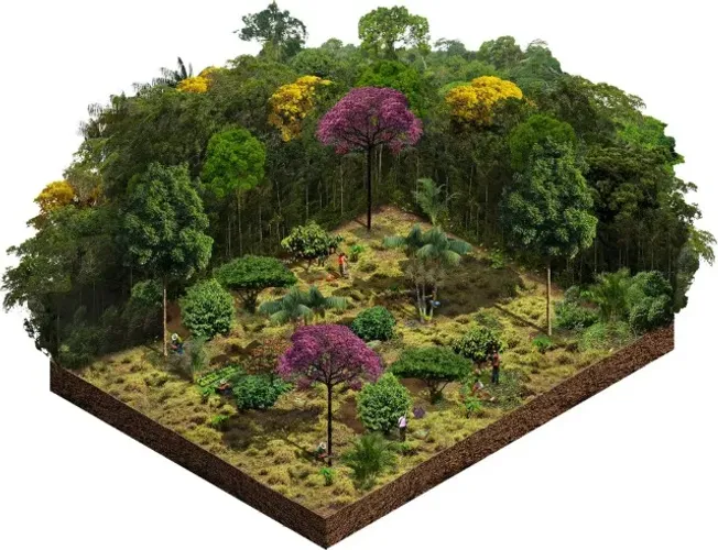 Jardinagem e paisagismo ecológico (capina, podas, criação de jardins e agroflorestas)