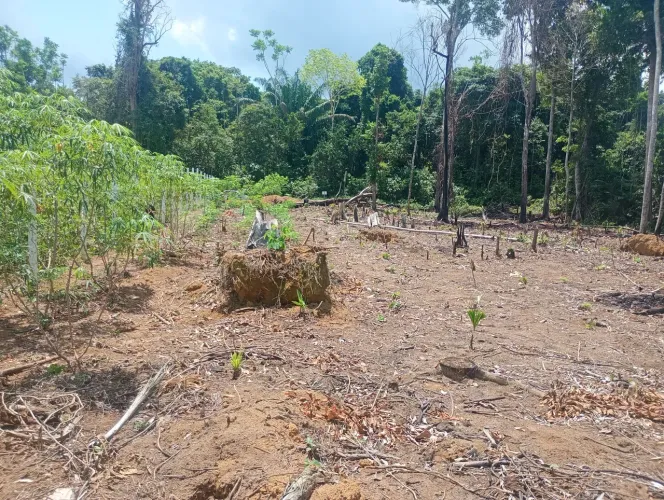 Terreno 
