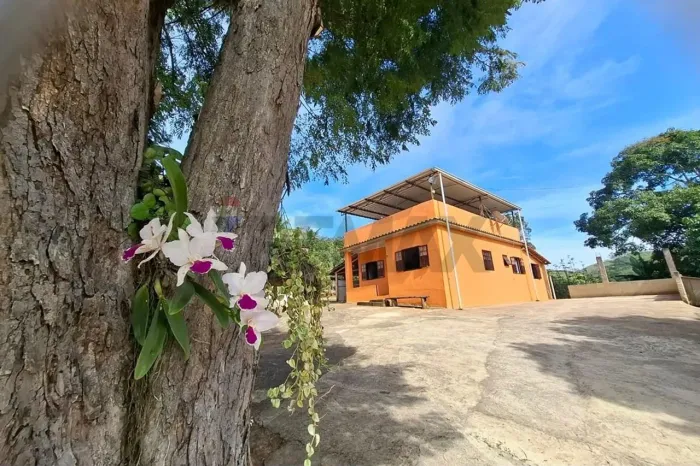 Sítio Produtivo em Piau/MG Bananeiras, Água, Terra Fértil e Casa Aconchegante