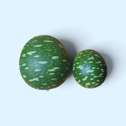 Tagiri Fruto Africano
