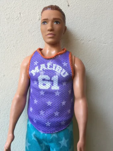 Barbie ken fashionista moreno