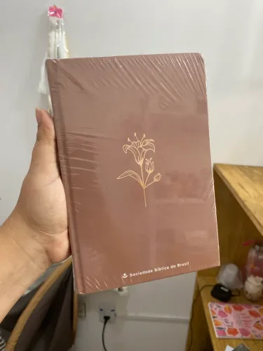 Bíblia ntlh rosé