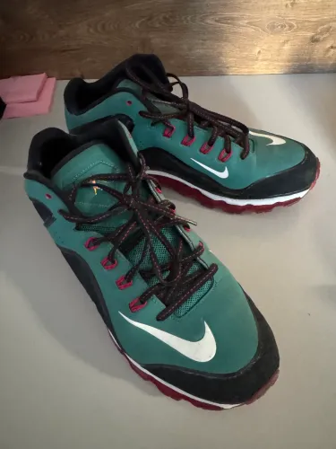 Nike Air Max Swingman 360 TR