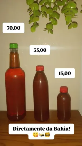 Mel de abelha puro da Bahia 