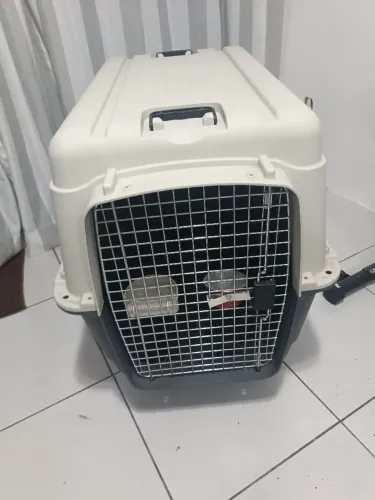 Caixa de transporte pra cães 