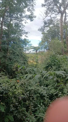 Chácara