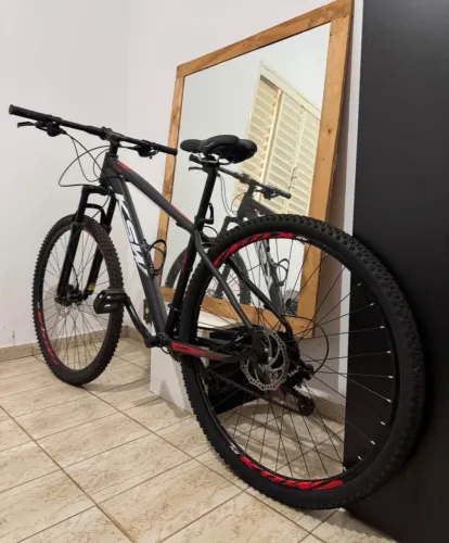Bicicleta mãe