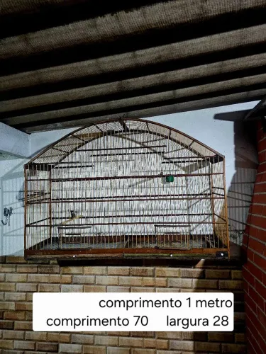 Gaiola mineirao top bem grande tala média
