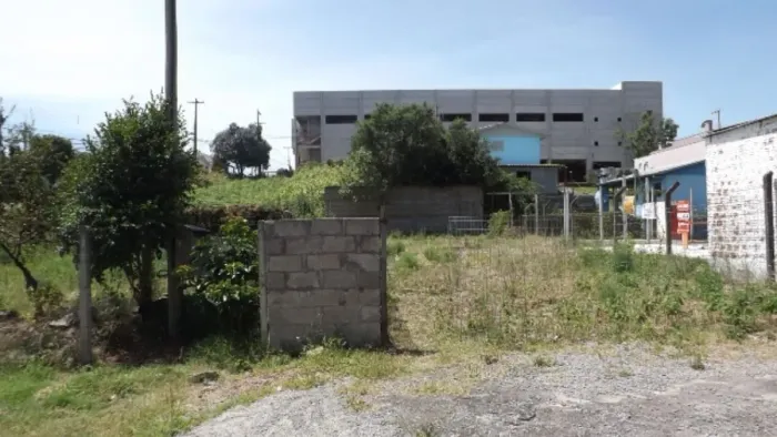 CAXIAS DO SUL - Terreno Padrão - CIDADE NOVA