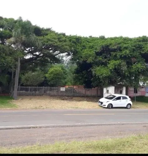 Terrenão em Glorinha de frente pra RS030