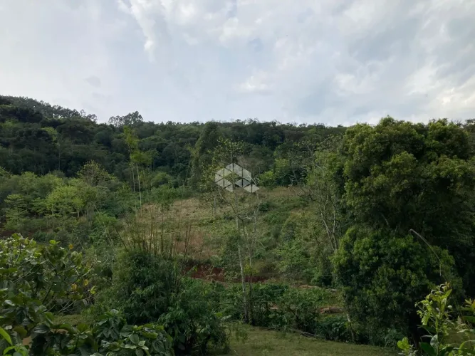 Chácara com ótima localização.