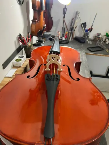 Violoncelo 3/4 Blaver - Totalmente ajustado por Luthier
