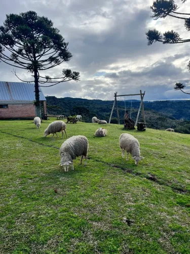 Pousada altitude Bocaina do Sul