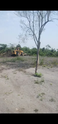 Terreno barato