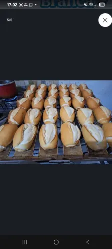 Fornecemos pães 