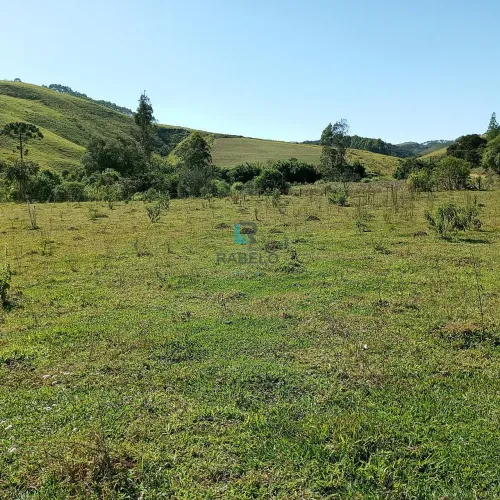 SÍTIO COM EXCELENTE TOPOGRAFIA Á VENDA EM SILVEIRAS-SP