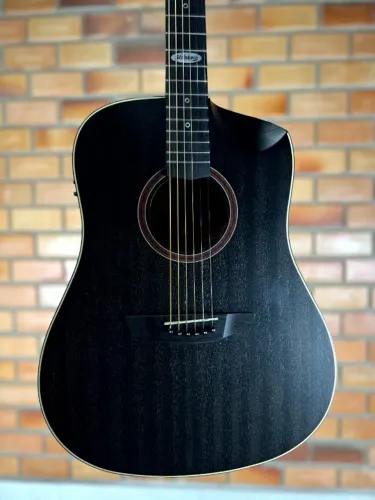 VIOLÃO STRINBERG FOREST FOLK FS4D TOS