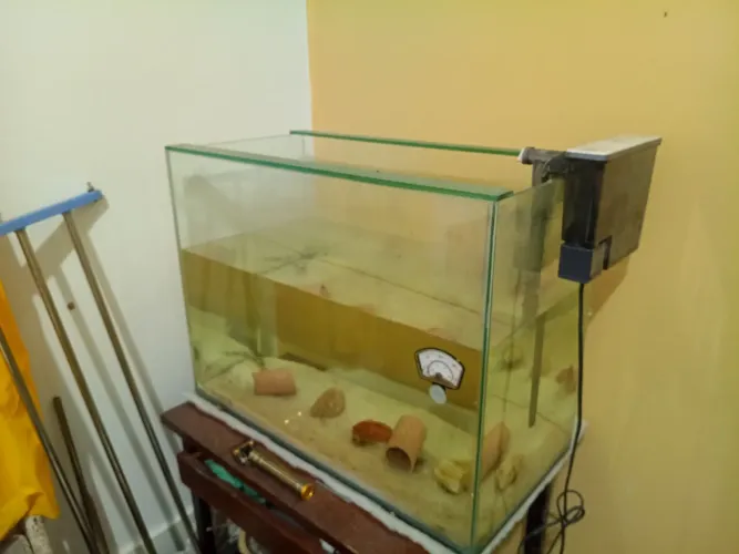 Aquário sime novo  71 litros 