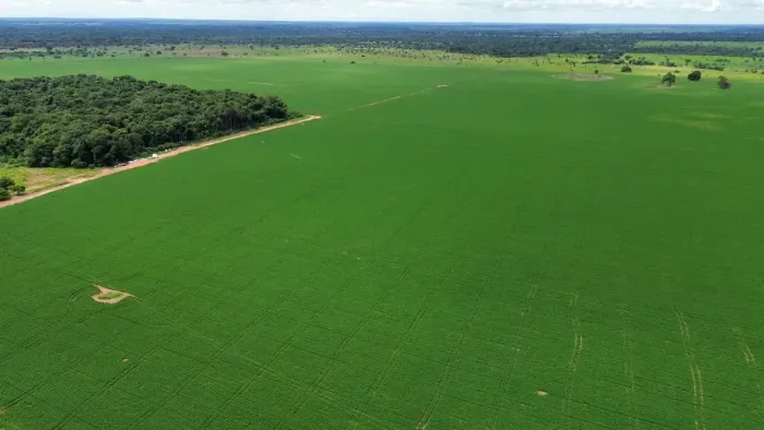 Arrendamento para Lavoura, Vale do Araguaia - Goiás