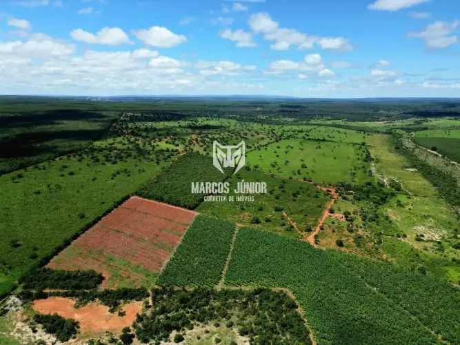 VENDO FAZENDA COM DUPLA APTIDÃO NO NORTE MG COM ALTITUDE E BEM FORMADA COM ÓTIMA LOGÍSTICA