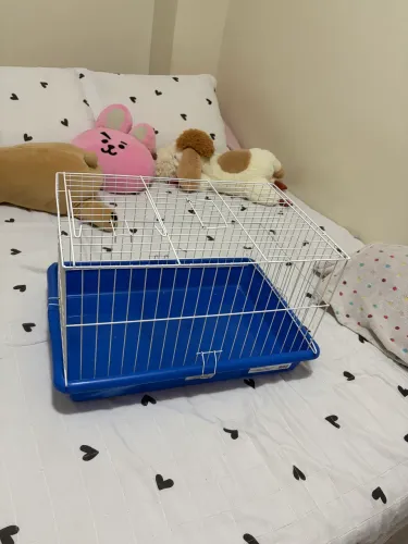 gaiola para porquinho da índia / transporte de coelhos