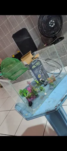 Vendo aquário completo