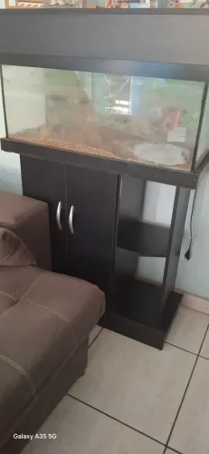 Aquario 100 litros com móvel, substrato e termostato.