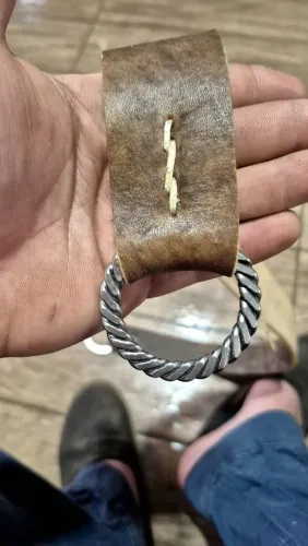 sobre chincha cavalo crioulo