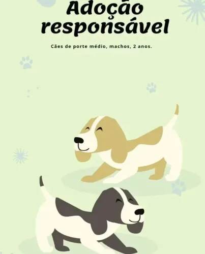 Dois cachorros porte médio para ADOÇÃO