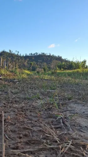 Vendo lote 60 hectare em caracarai 