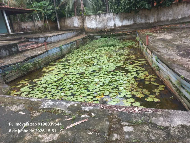 Sitio no papuquara 60x60 com igarape R$200 mil reais