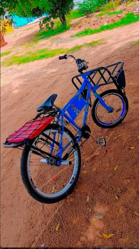 Bicicleta cargueira montadinha 