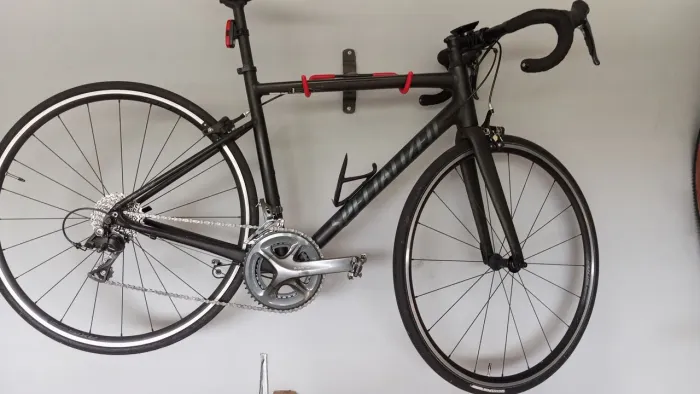 Specialized Speed