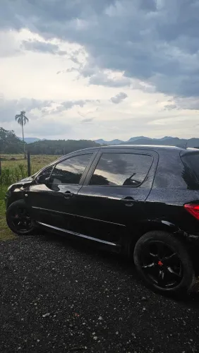 Peugeot 307 Soleil/ Presence 1.6/1.6 Flex 16V 5P 2009
