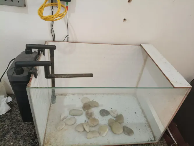 2 aquário 80 litros 1 completo com filtro
