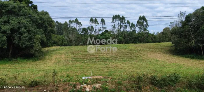 TERRENO, CAMPO LARGO, 5.000,00 M2, 2 KM DA FABRICA DA INCEPA - LOTE 2