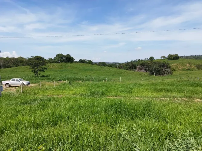 Sitio a venda em Santa Cruz de Goias , 12 alqueires e 4 Litros