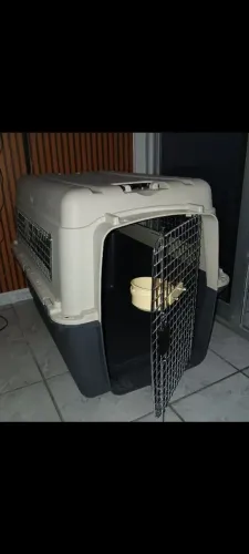 Caixa de Transporte Pet cachorro Kennel padrão avião IATA GoMoov G n°6 90 x 60 x 68